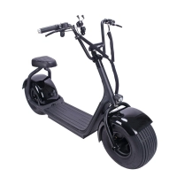 1000w Electric Scooter
