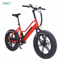 Sport Pedal Assist Fat Tire Electric Bike