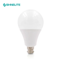  LED Light Bulb