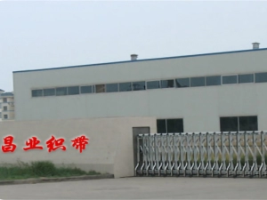 Changye Webbing Co., Ltd.